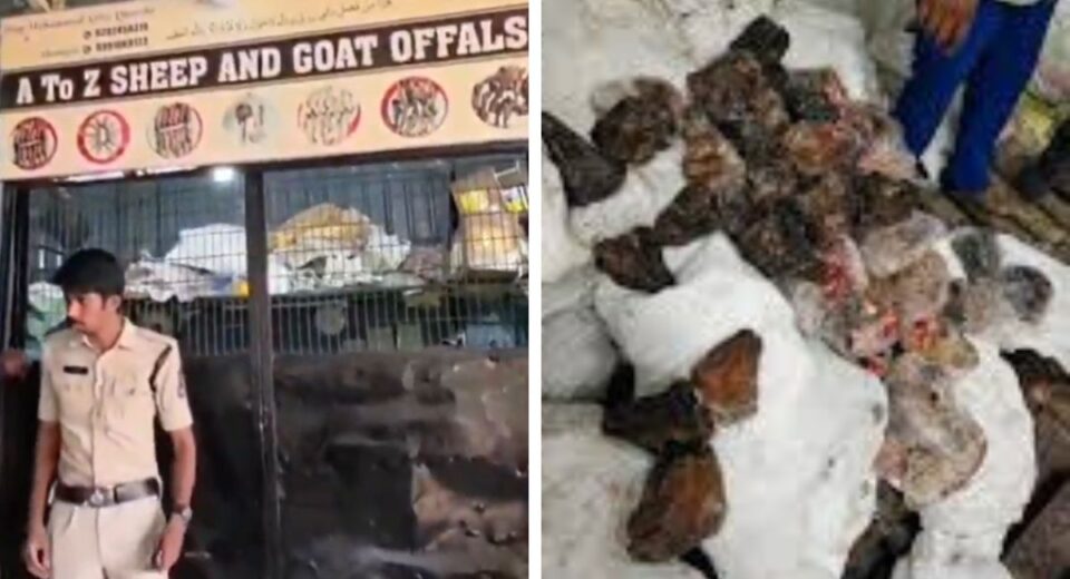 14 tons of rotten meat seized in Mangalhat, 1 arrested