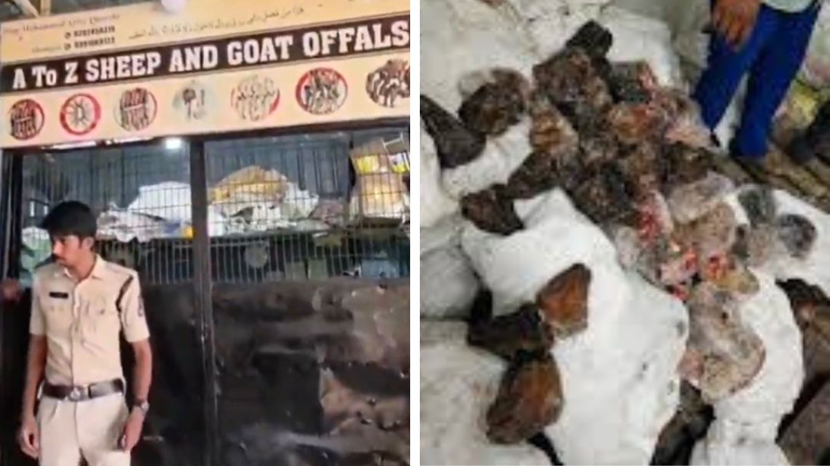 14 tons of rotten meat seized in Mangalhat, 1 arrested