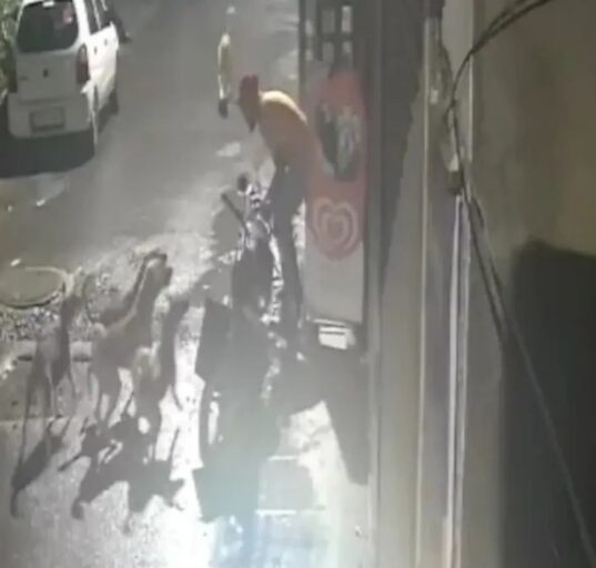 CCTV Captures Rabid Stray Dog's Rapid Attack on Men in Rural India