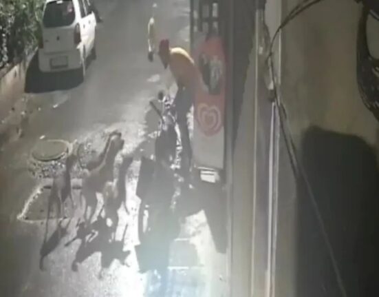 CCTV Captures Rabid Stray Dog's Rapid Attack on Men in Rural India