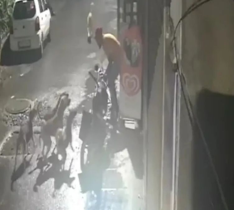 CCTV Captures Rabid Stray Dog's Rapid Attack on Men in Rural India