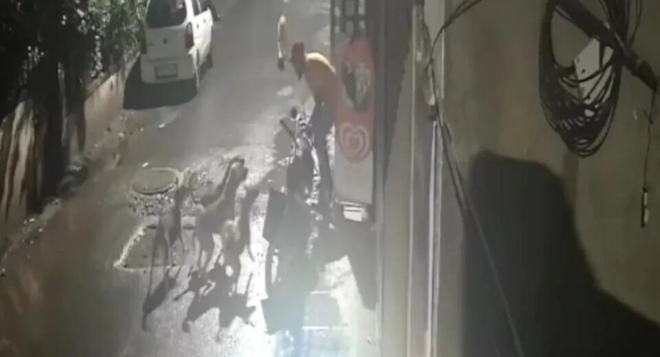 CCTV Captures Rabid Stray Dog's Rapid Attack on Men in Rural India