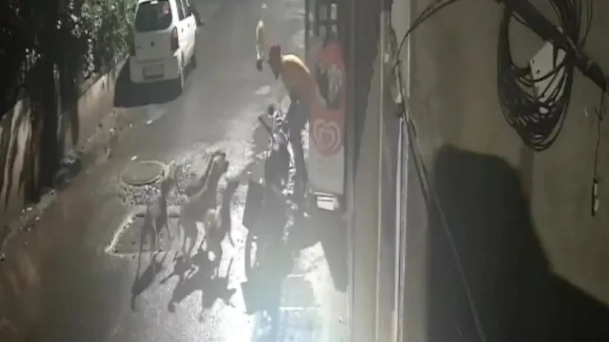 CCTV Captures Rabid Stray Dog's Rapid Attack on Men in Rural India