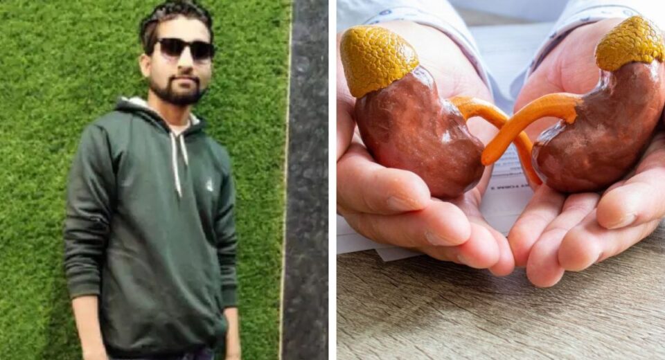 Child admitted for kidney stones in Satna, Madhya Pradesh allegedly loses both kidneys due to doctor's negligence