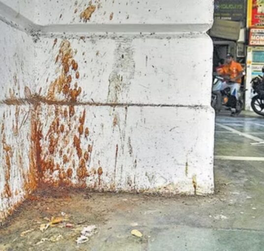 Freshly painted white road divider in Tonk, Rajasthan, turns red with pan masala spit within 15 minutes
