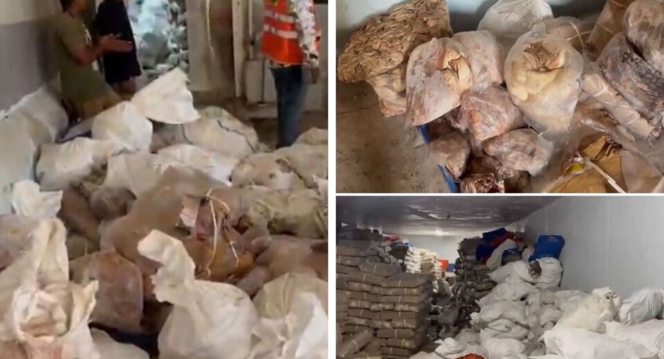 Hyderabad: Balapur Police Raid Salami Industries for unhygienic meat storage