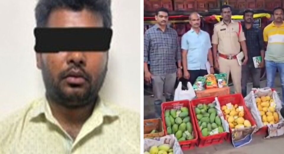 Hyderabad Police Seize Over 7 Tonnes of Illegally Ripened Mangoes