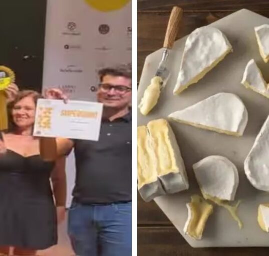 Indian Artisanal Cheeses Win Four Medals at Brazil Cheese World Championship