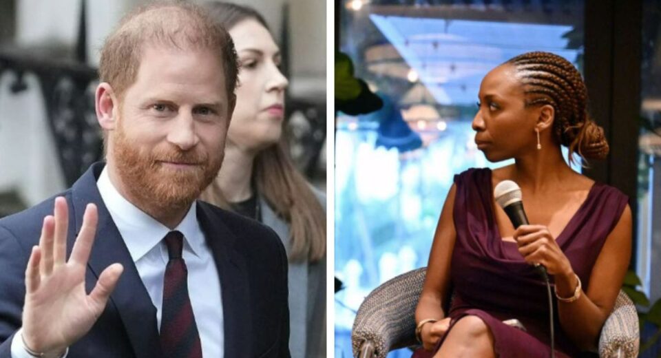 Sentebale Sues Prince Harry and Mark Dyer Over Alleged Media Campaign