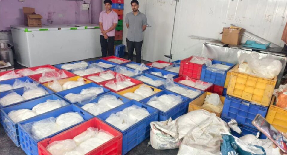 Surat Fake Paneer Racket Busted: Industrial Chemicals Used In Dairy Product, Goods Worth Rs 28 Lakh Seized