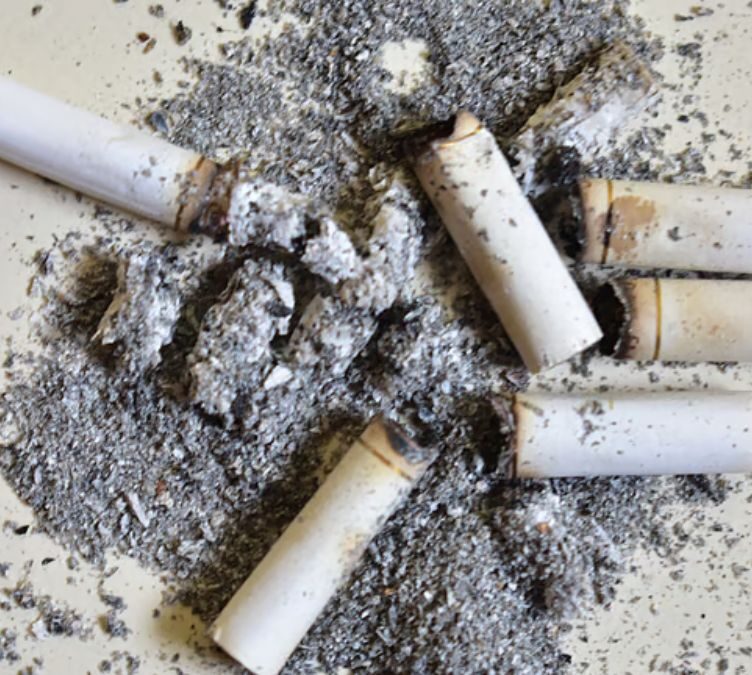 Videos Show Boy Smoking as 'Cigarette Wale Baba' in Gujarat, Sparking Child Welfare Calls