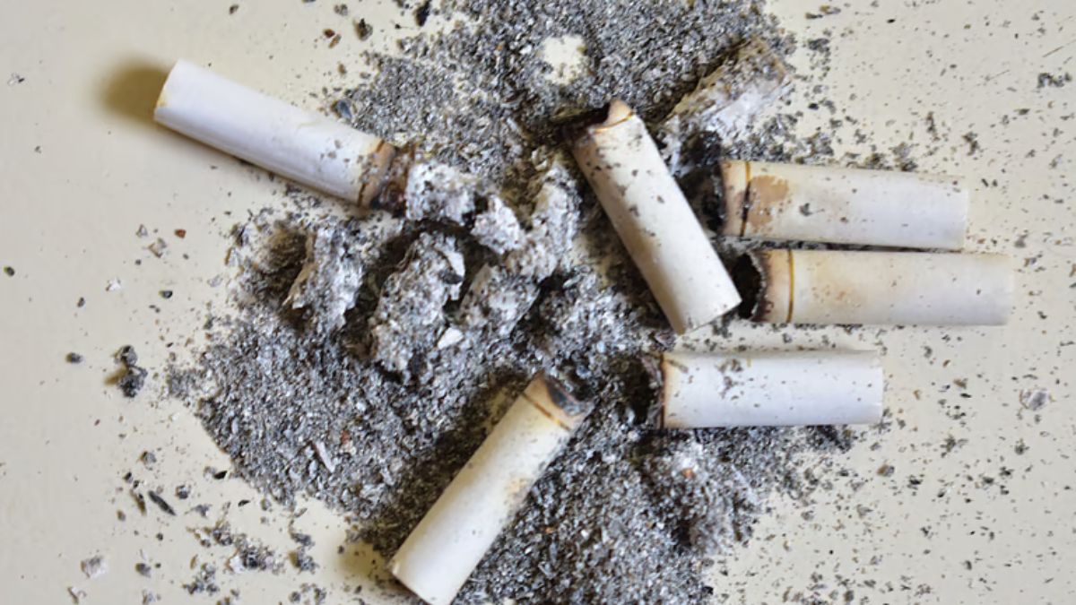 Videos Show Boy Smoking as 'Cigarette Wale Baba' in Gujarat, Sparking Child Welfare Calls