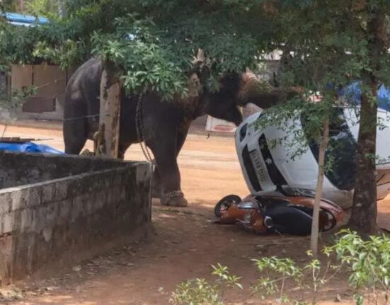 Two Men Killed in Kerala Due to Elephant Attack at Temples